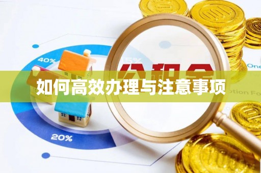 临颍如何高效办理与注意事项