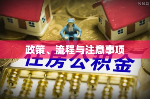 临颍政策、流程与注意事项