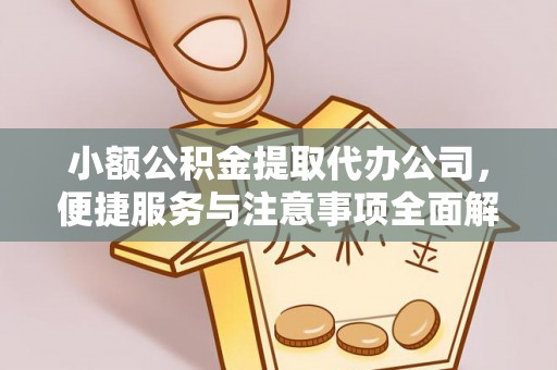 临颍小额公积金提取代办公司，便捷服务与注意事项全面解析