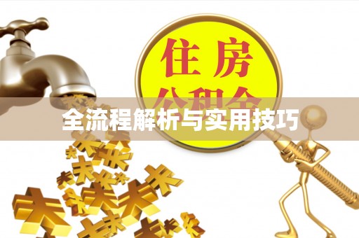 临颍全流程解析与实用技巧
