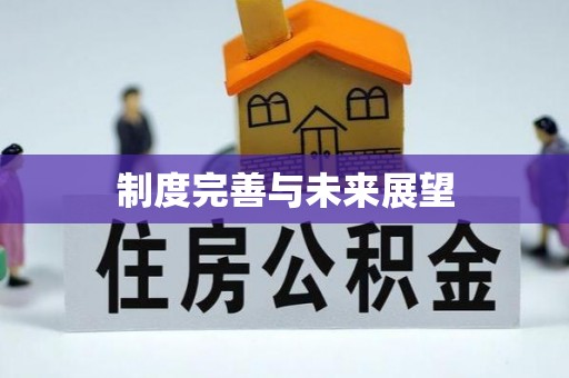 临颍制度完善与未来展望