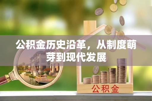 临颍公积金历史沿革，从制度萌芽到现代发展