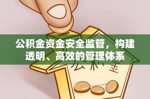临颍公积金资金安全监管，构建透明、高效的管理体系
