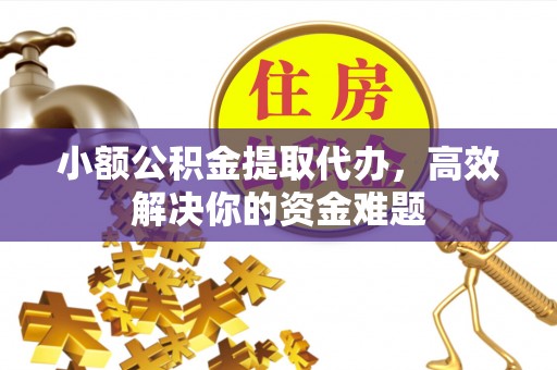 临颍小额公积金提取代办，高效解决你的资金难题