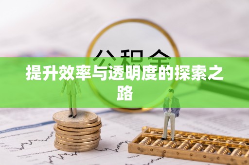 临颍提升效率与透明度的探索之路