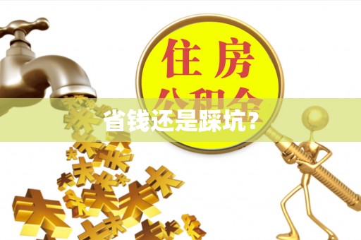 临颍省钱还是踩坑？
