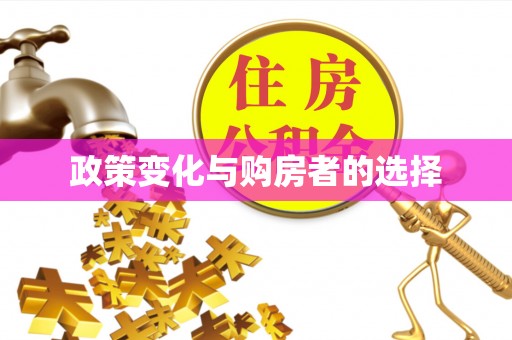 临颍政策变化与购房者的选择