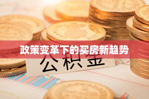 临颍政策变革下的买房新趋势