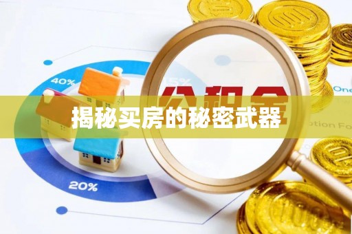 临颍揭秘买房的秘密武器