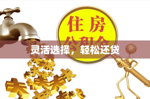 临颍灵活选择，轻松还贷