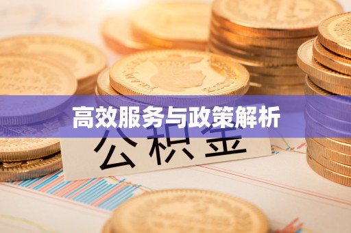 临颍高效服务与政策解析