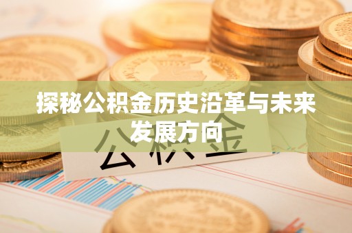 临颍探秘公积金历史沿革与未来发展方向