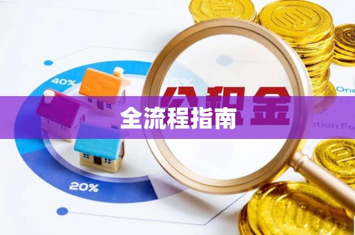 临颍全流程指南