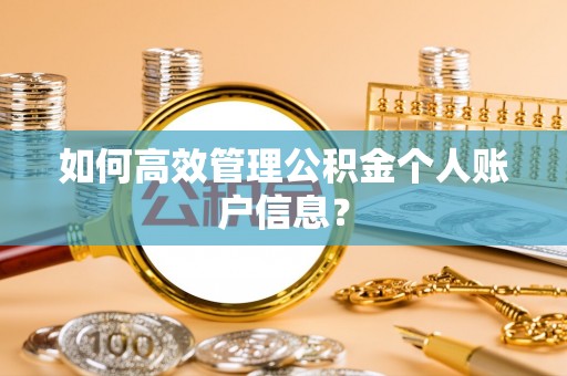 临颍如何高效管理公积金个人账户信息？