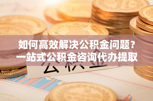 临颍如何高效解决公积金问题？一站式公积金咨询代办提取服务全解析