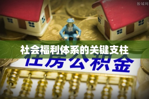 临颍社会福利体系的关键支柱