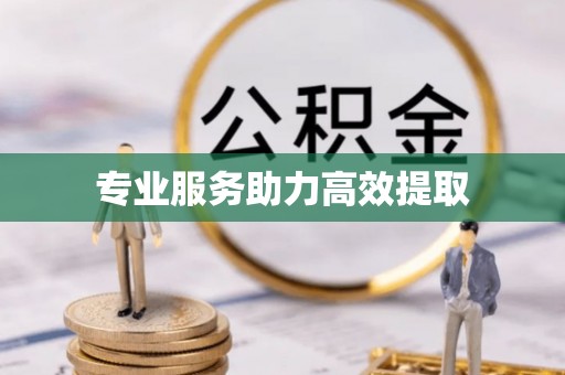 临颍专业服务助力高效提取