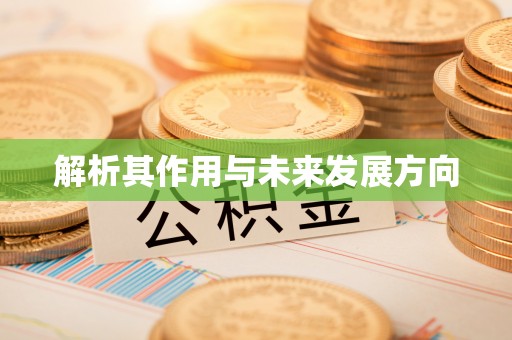 临颍解析其作用与未来发展方向