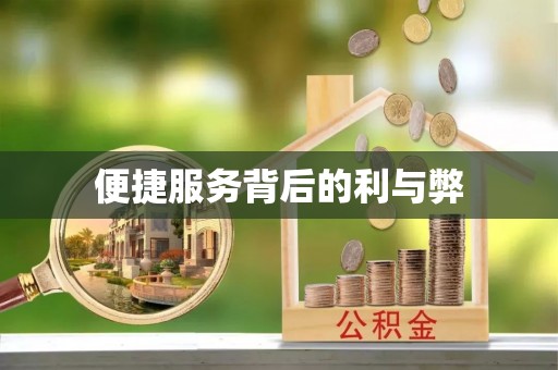临颍便捷服务背后的利与弊